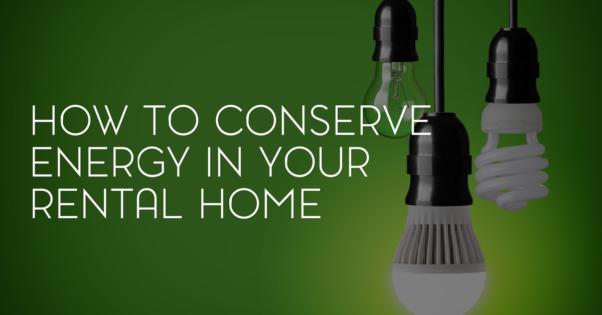 How to Conserve Energy in Your Rental Home