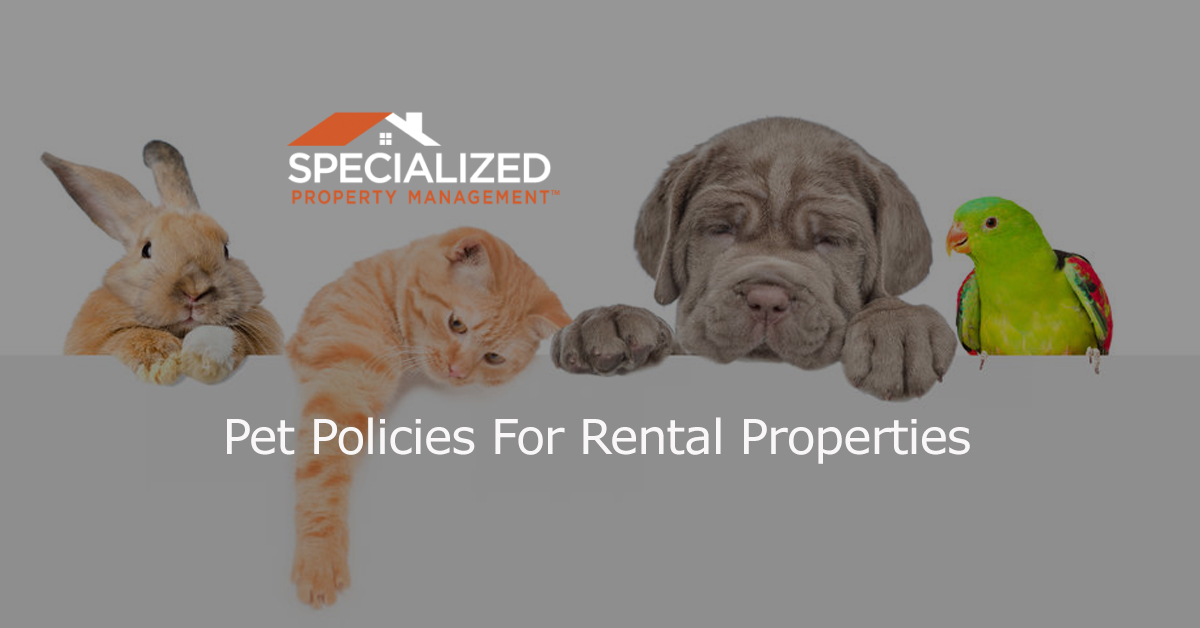 Pet-Friendly Delights: Ideal Features for Rental Harmony